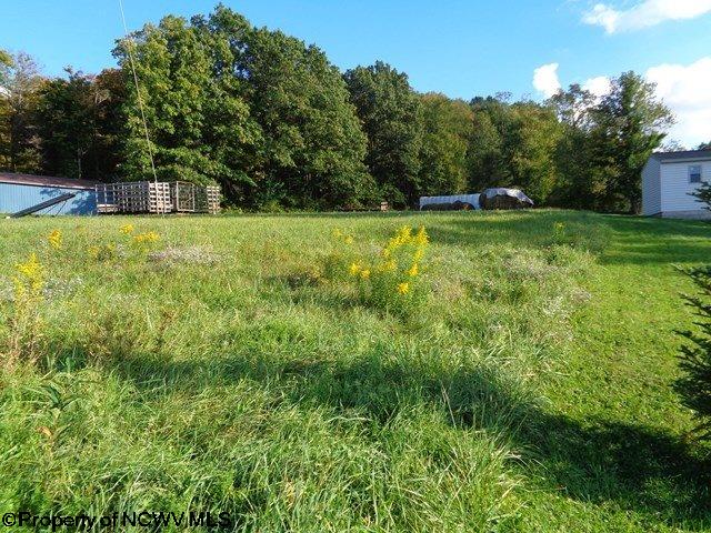 0 Centenary Road Bruceton Mills, WV 26525 - Photo 8 of 12 Gallery Image 8