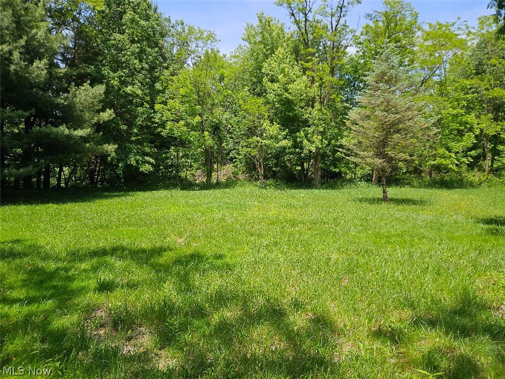 37670 Miller Road Lisbon, OH 44432 - Photo 11 of 20