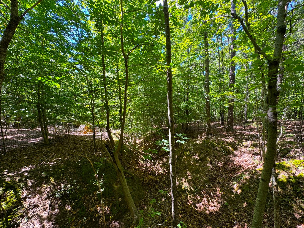 401 Coleman Road Clinton, SC 29325 - Photo 24 of 25