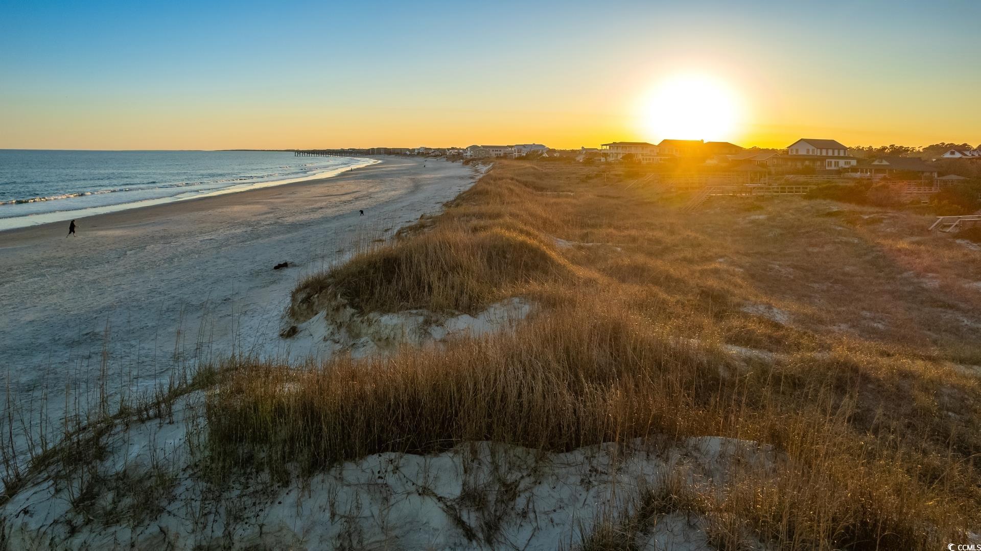 99 Vineyard Place, Unit 32 Pawleys Island, SC 29585 - Photo 29 of 38