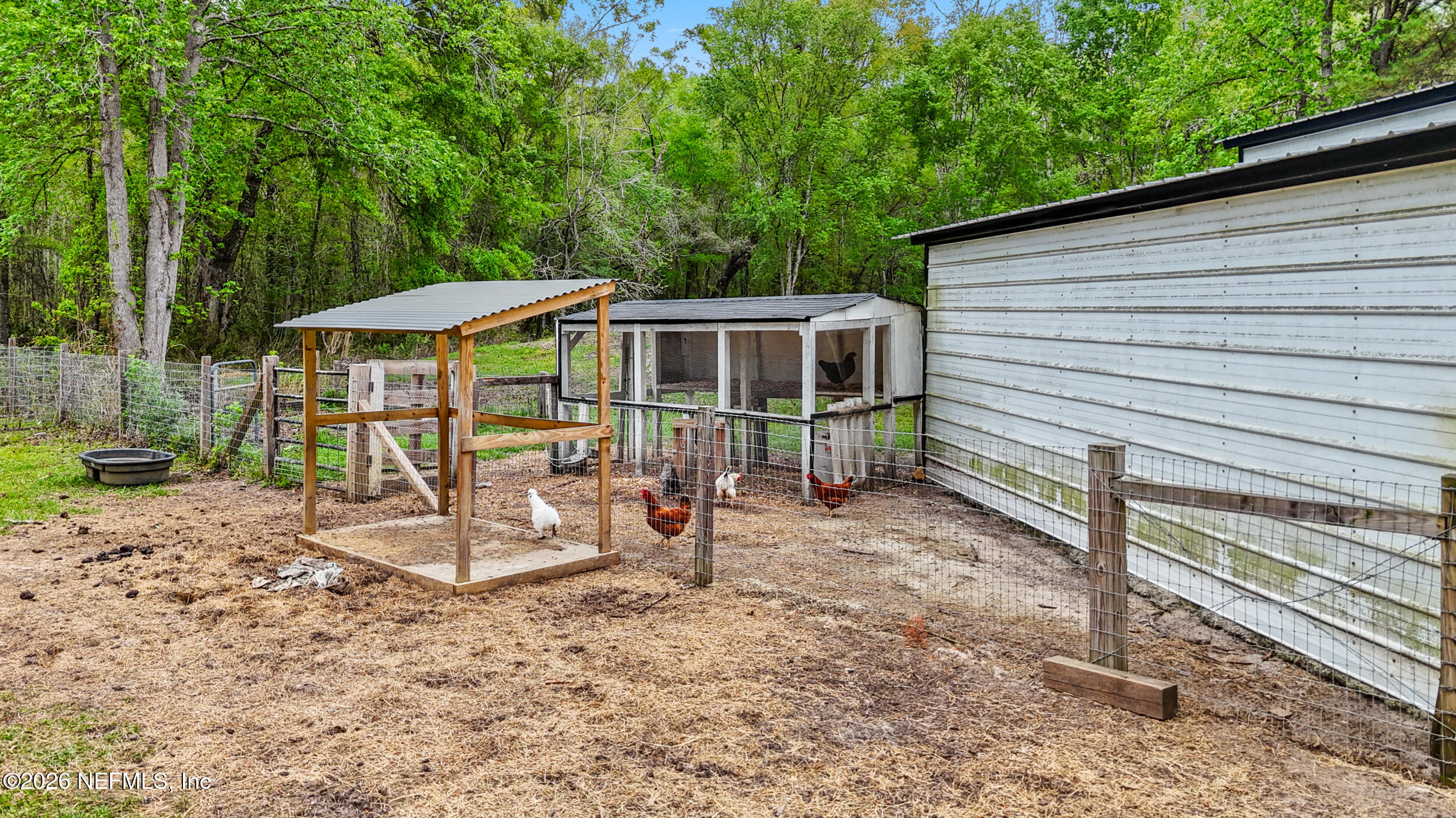 2030 Wayfare Lane Middleburg, FL 32068 - Photo 31 of 46 a view of a house with backyard and chairs