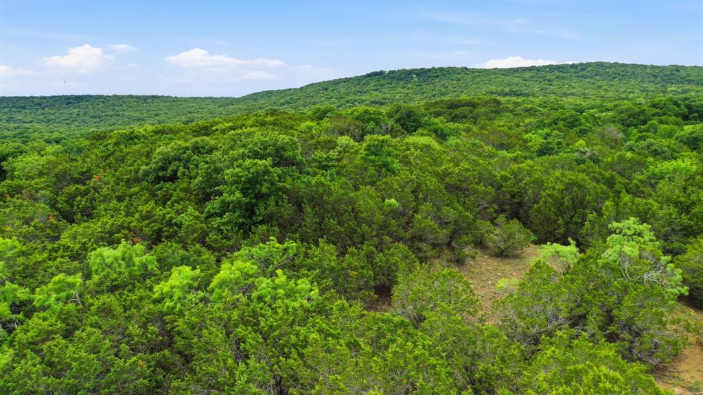 Tbd Dobbs Valley Road Millsap, TX 76066 - Photo 12 of 13 Gallery Image 12