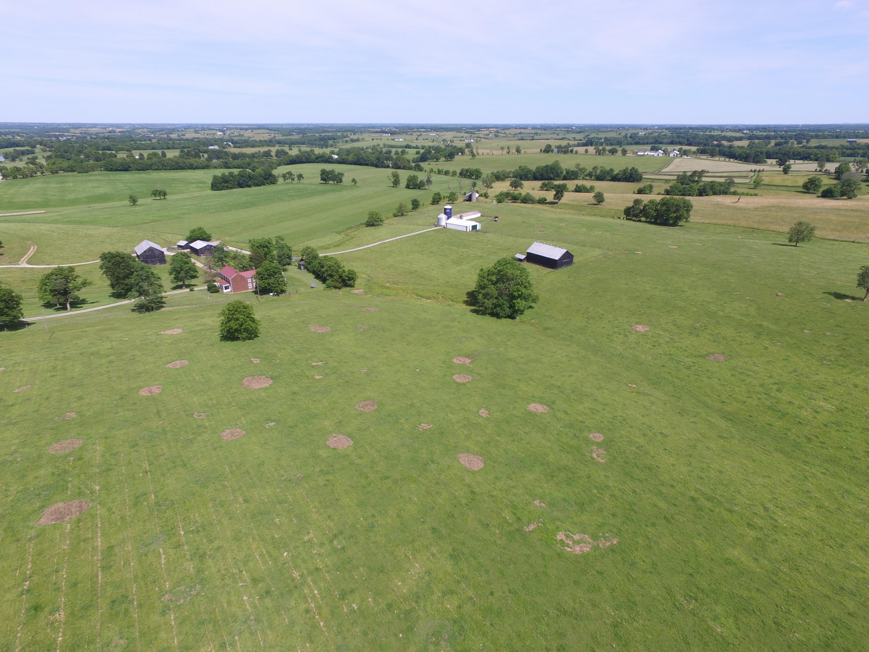 1236 Jackstown Road Paris, KY 40361 - Photo 9 of 41 pic10 (2)