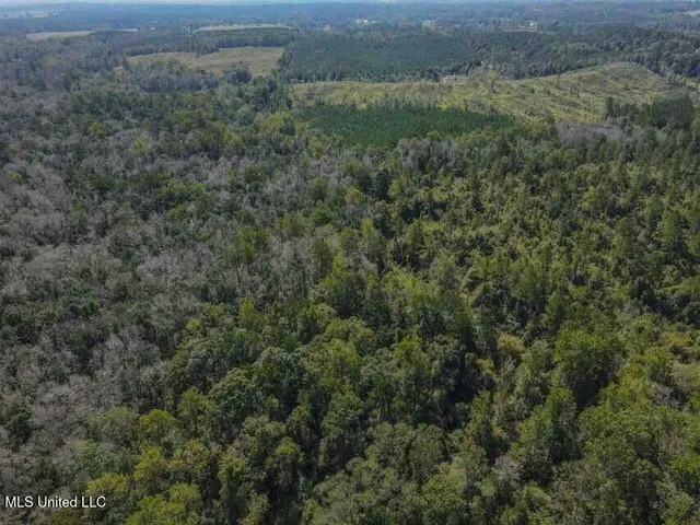$530,900 | 0 Highway 28, Laurel, MS 39443