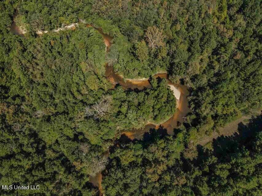 0 Highway 28 Laurel, MS 39443 - Photo 15 of 17 20210917124700304523000000-o