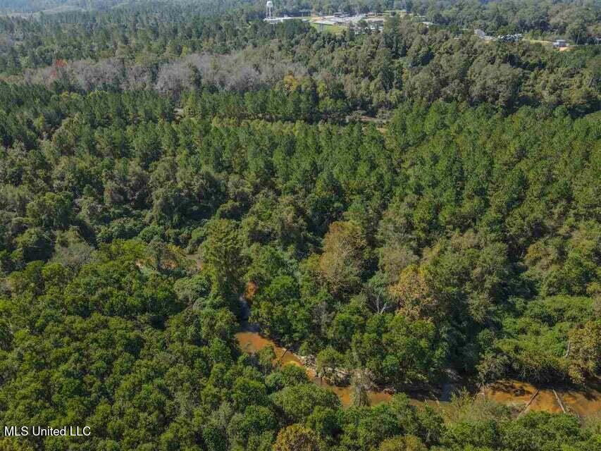 0 Highway 28 Laurel, MS 39443 - Photo 5 of 17 20210917124704221443000000-o