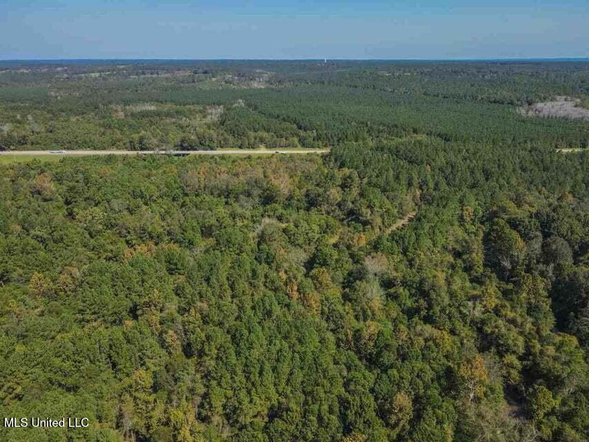 0 Highway 28 Laurel, MS 39443 - Photo 8 of 17 20210917124703387413000000-o