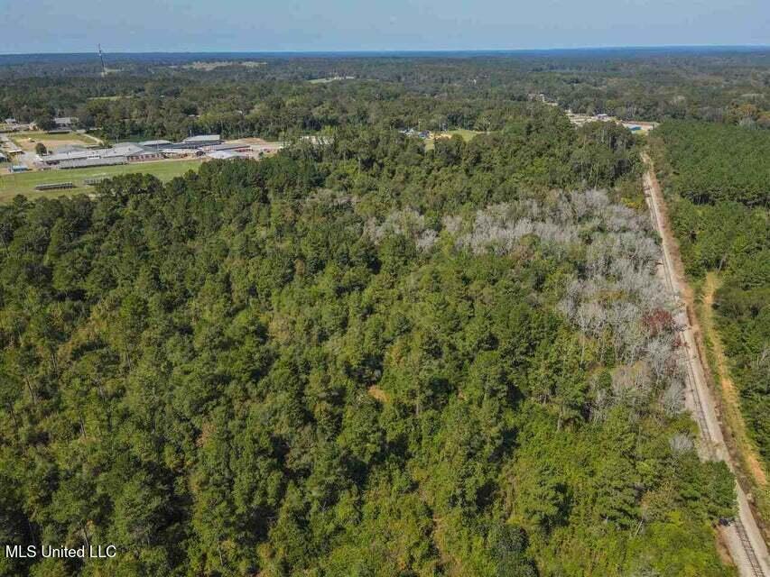 0 Highway 28 Laurel, MS 39443 - Photo 10 of 17 20210917124701651883000000-o