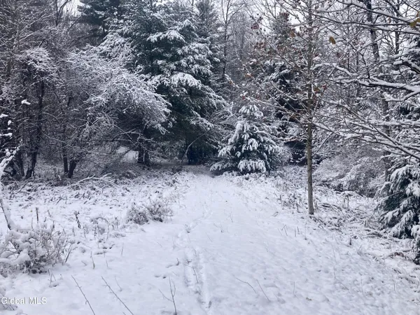 $139,400 | 856 Olmstedville Road, Chester, NY 12853