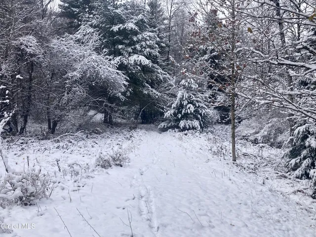 $139,400 | 856 Olmstedville Road, Chester, NY 12853