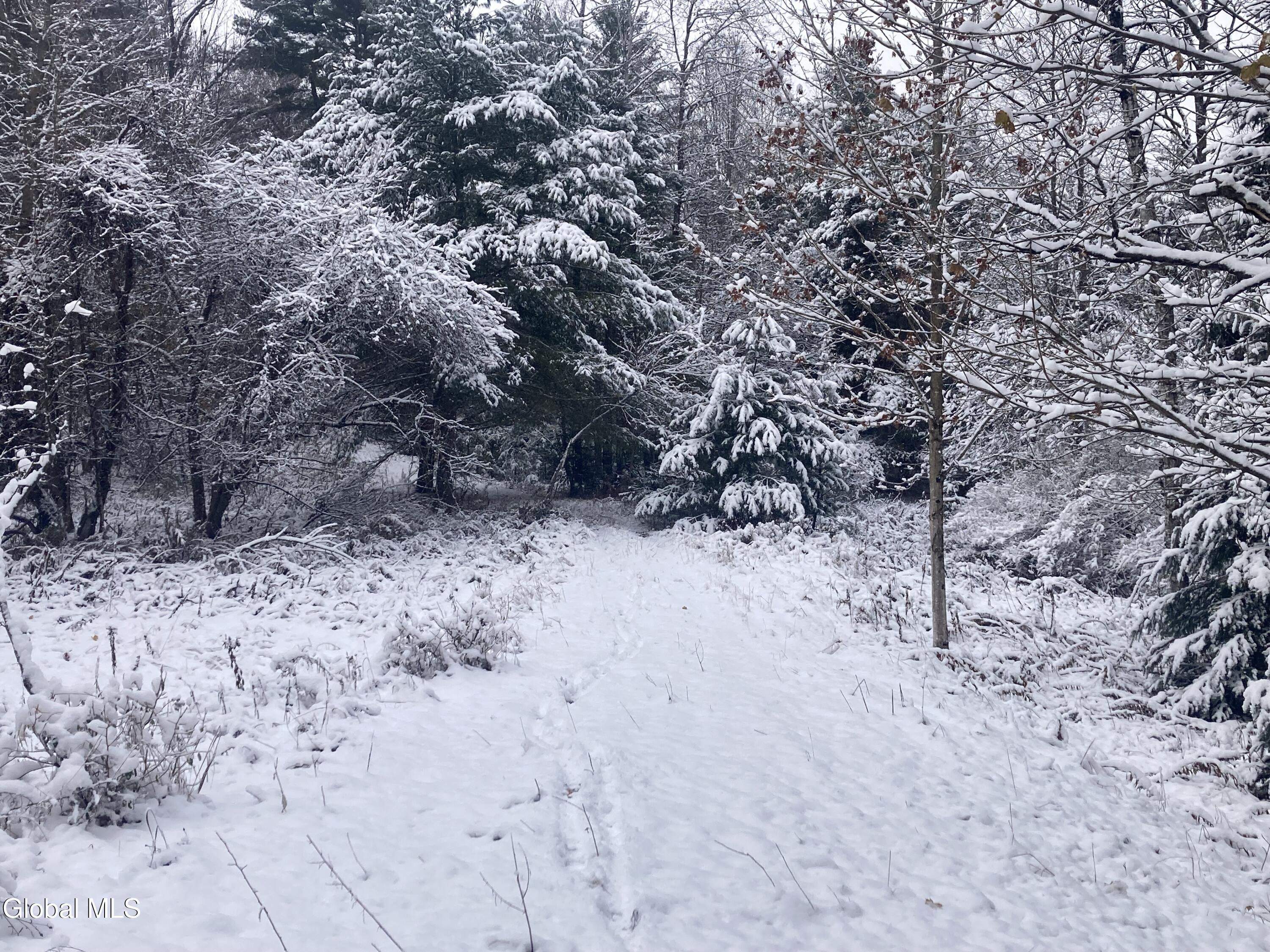 856 Olmstedville Road Chester, NY 12853 - Photo 11 of 16 IMG_4187