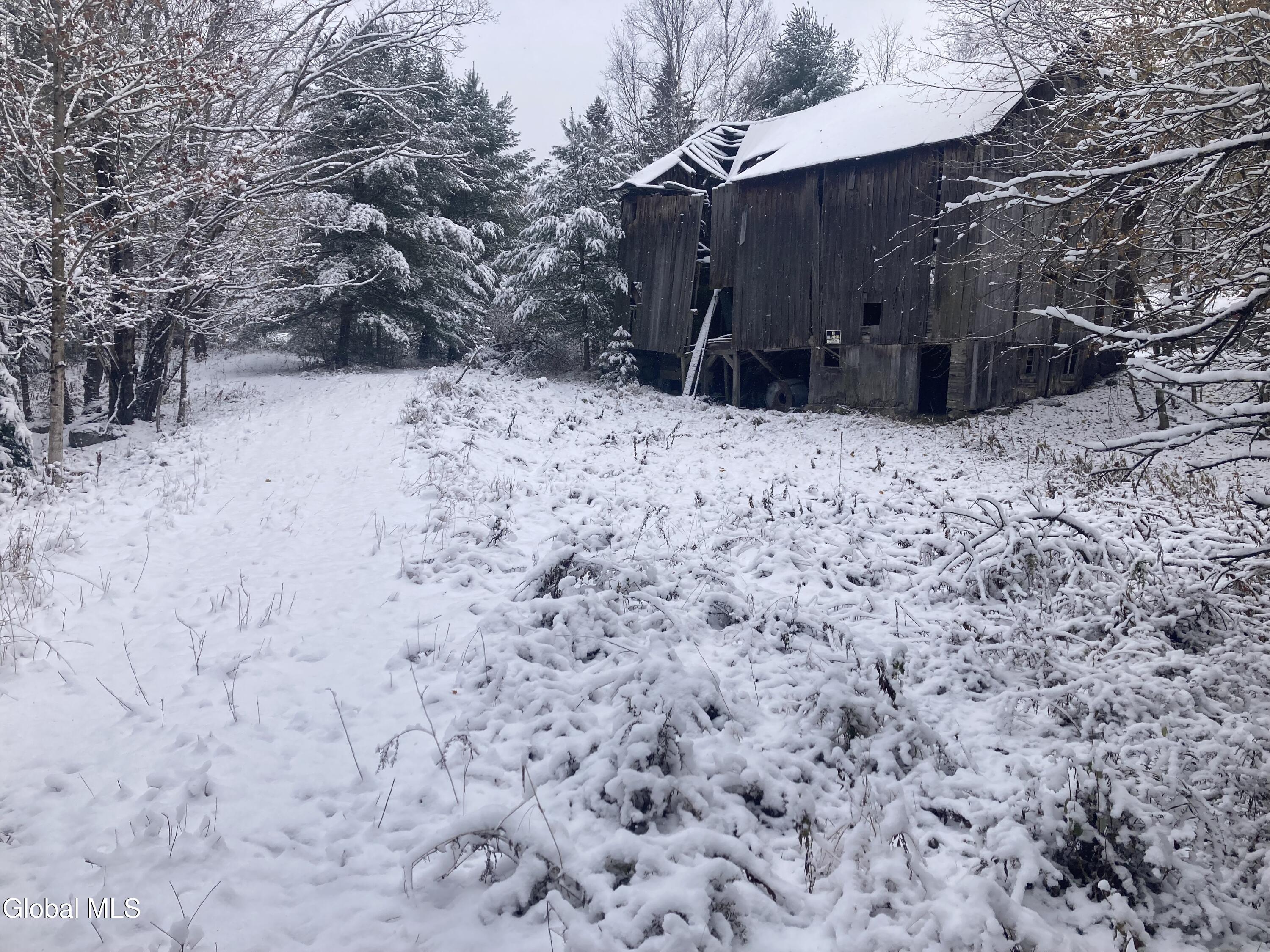 856 Olmstedville Road Chester, NY 12853 - Photo 12 of 16 IMG_4185