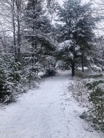 $139,400 | 856 Olmstedville Road, Chester, NY 12853