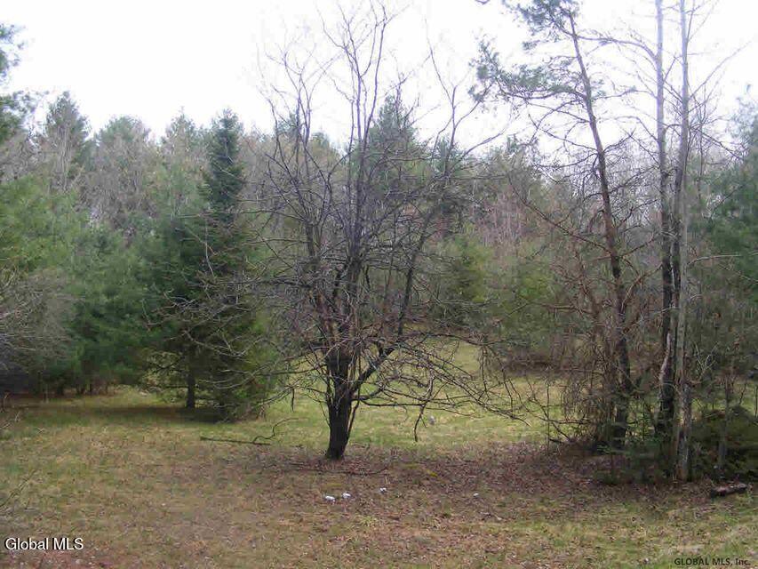 856 Olmstedville Road Chester, NY 12853 - Photo 13 of 16 20211119231708204209000000-o