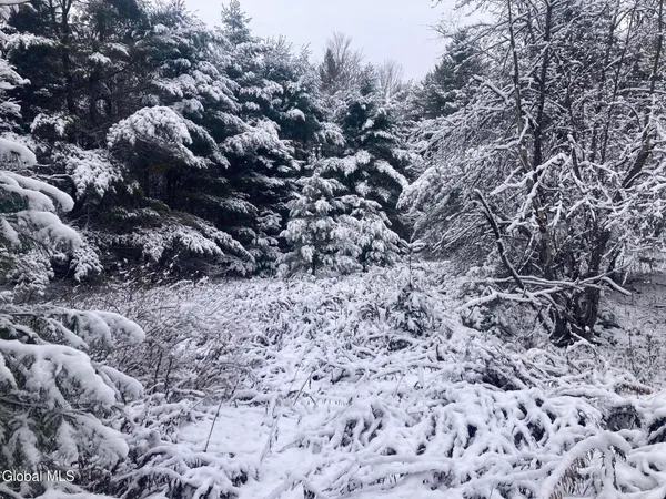 $139,400 | 856 Olmstedville Road, Chester, NY 12853