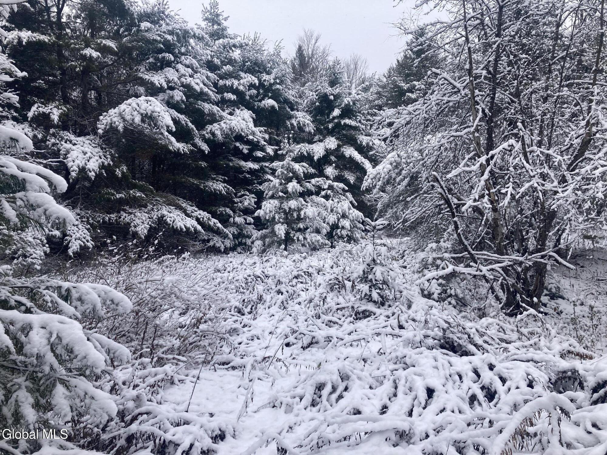 856 Olmstedville Road Chester, NY 12853 - Photo 14 of 16 IMG_4184