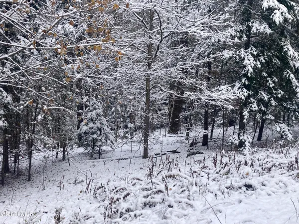 $139,400 | 856 Olmstedville Road, Chester, NY 12853