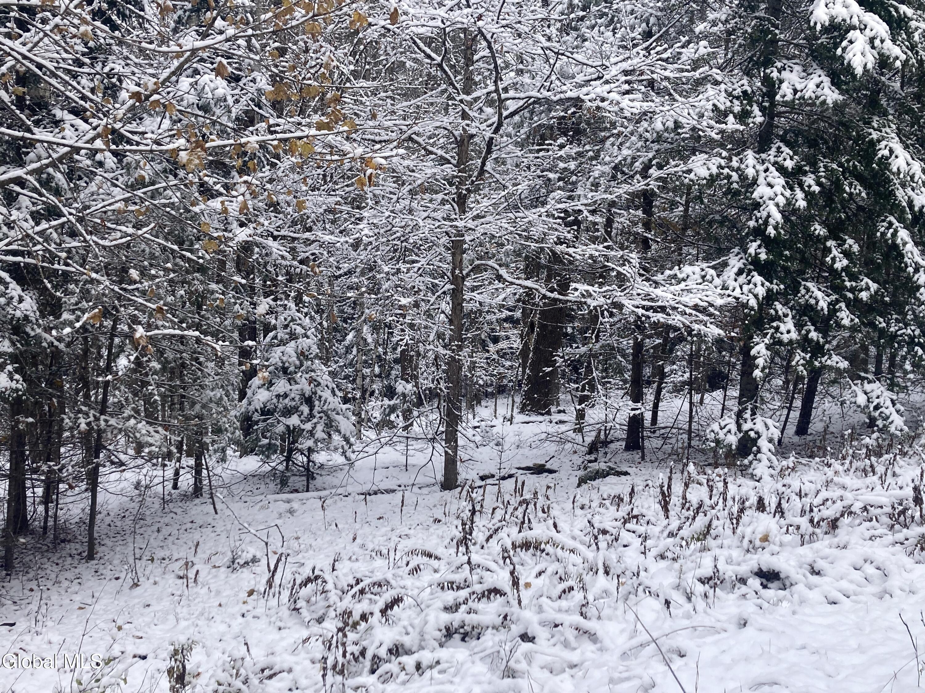 856 Olmstedville Road Chester, NY 12853 - Photo 15 of 16 IMG_4186