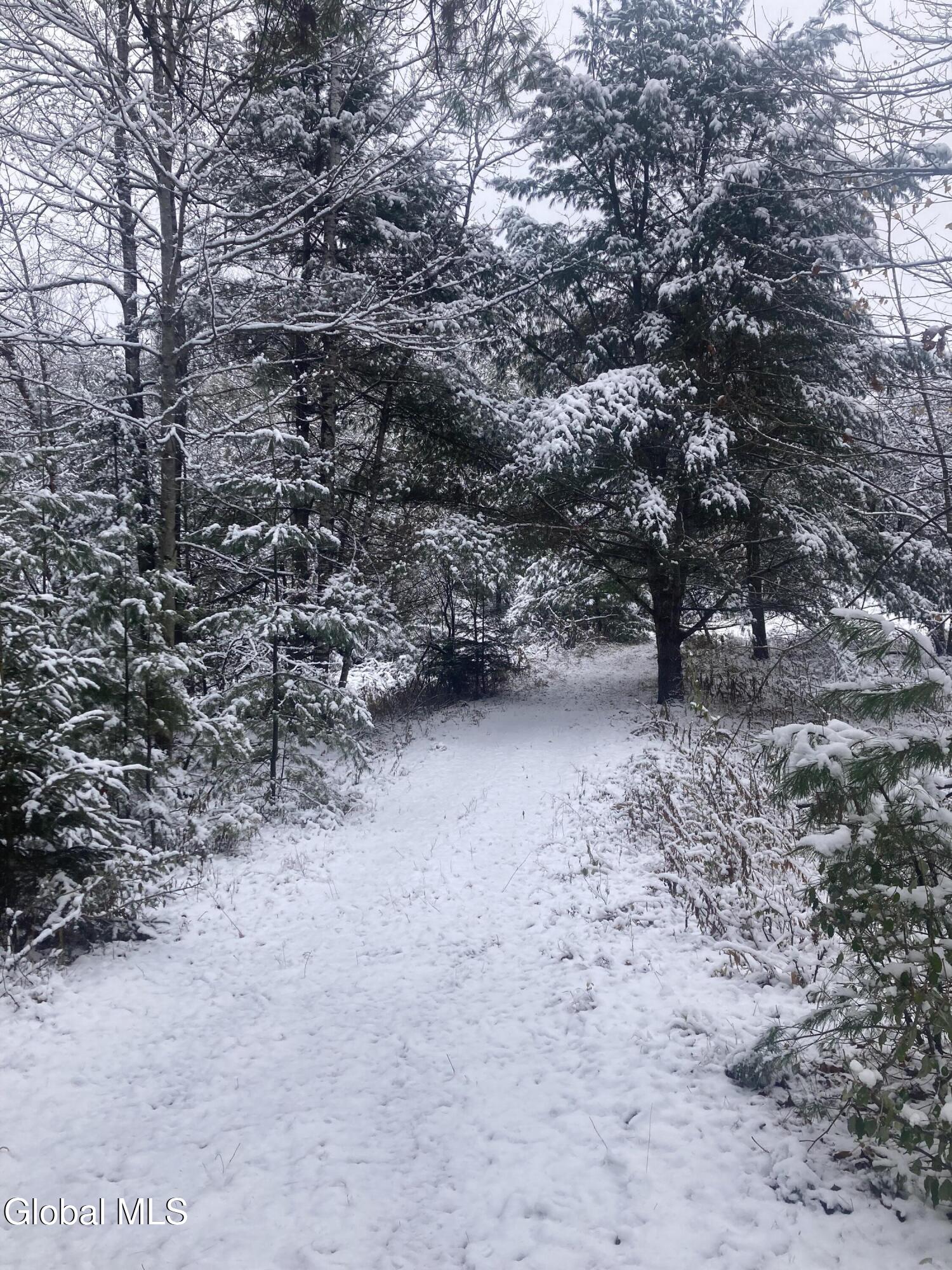 856 Olmstedville Road Chester, NY 12853 - Photo 10 of 16 IMG_4175