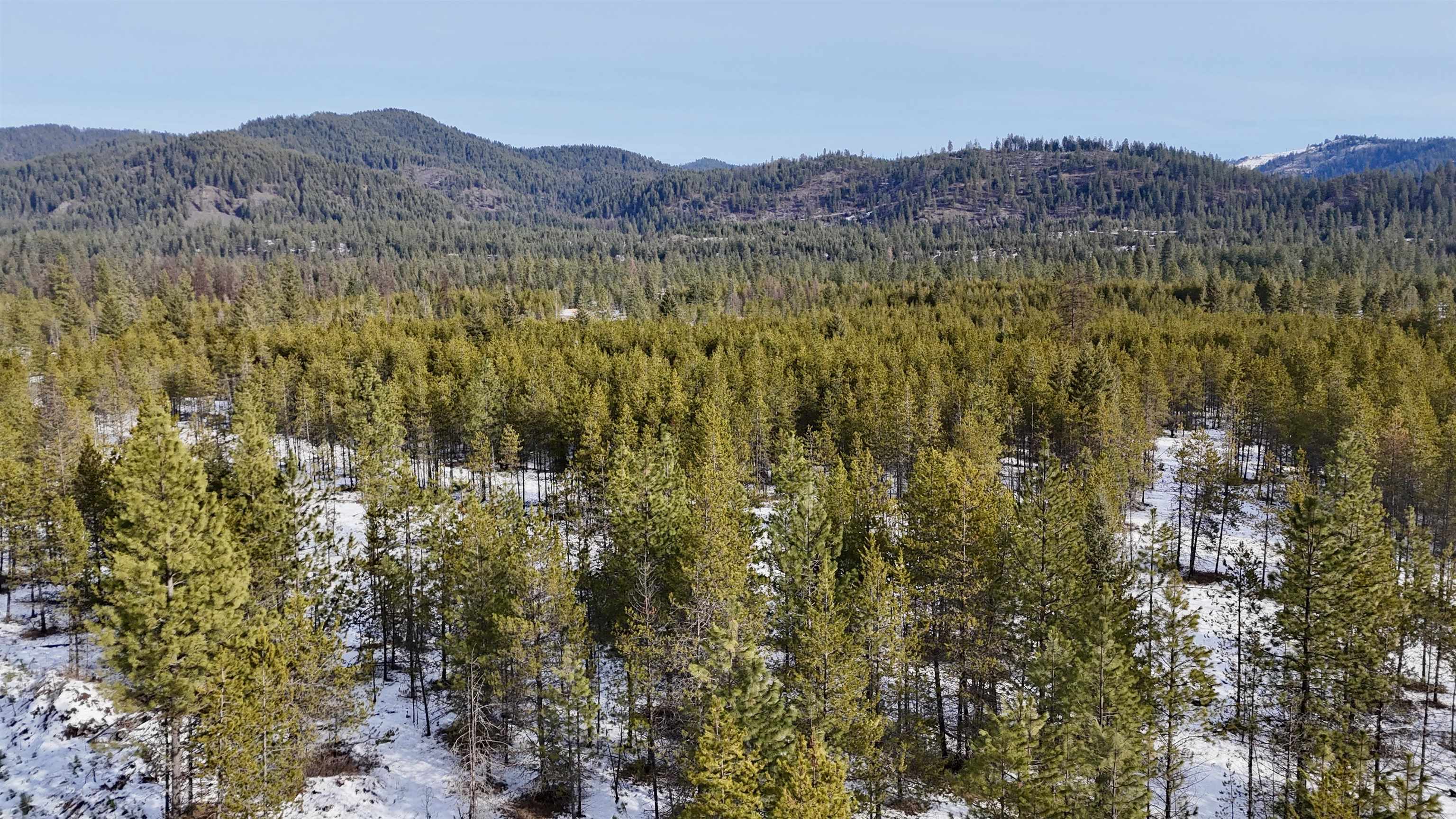 321 Misty Ridge Lane Newport, WA 99156 - Photo 11 of 29