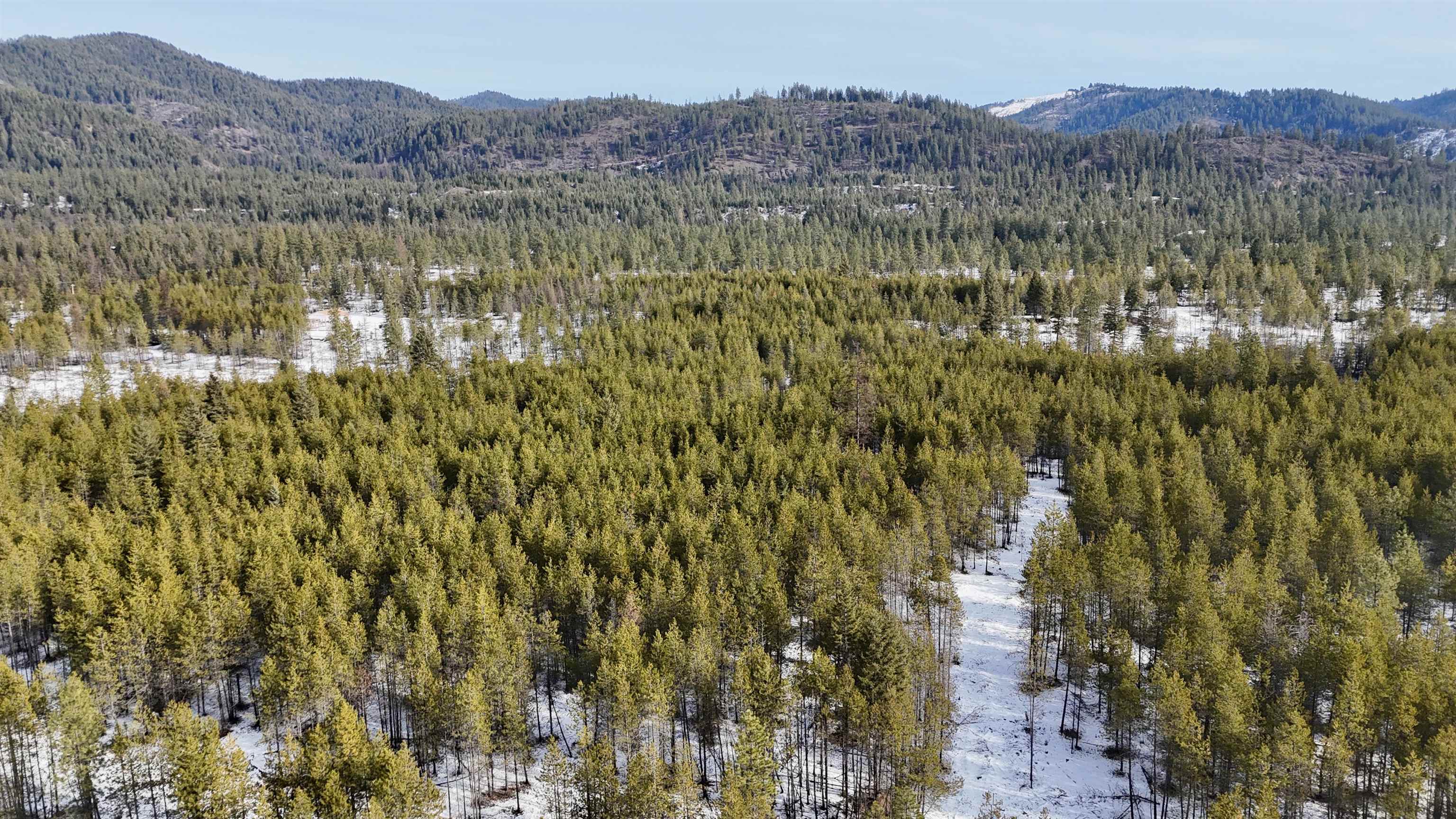 321 Misty Ridge Lane Newport, WA 99156 - Photo 12 of 29