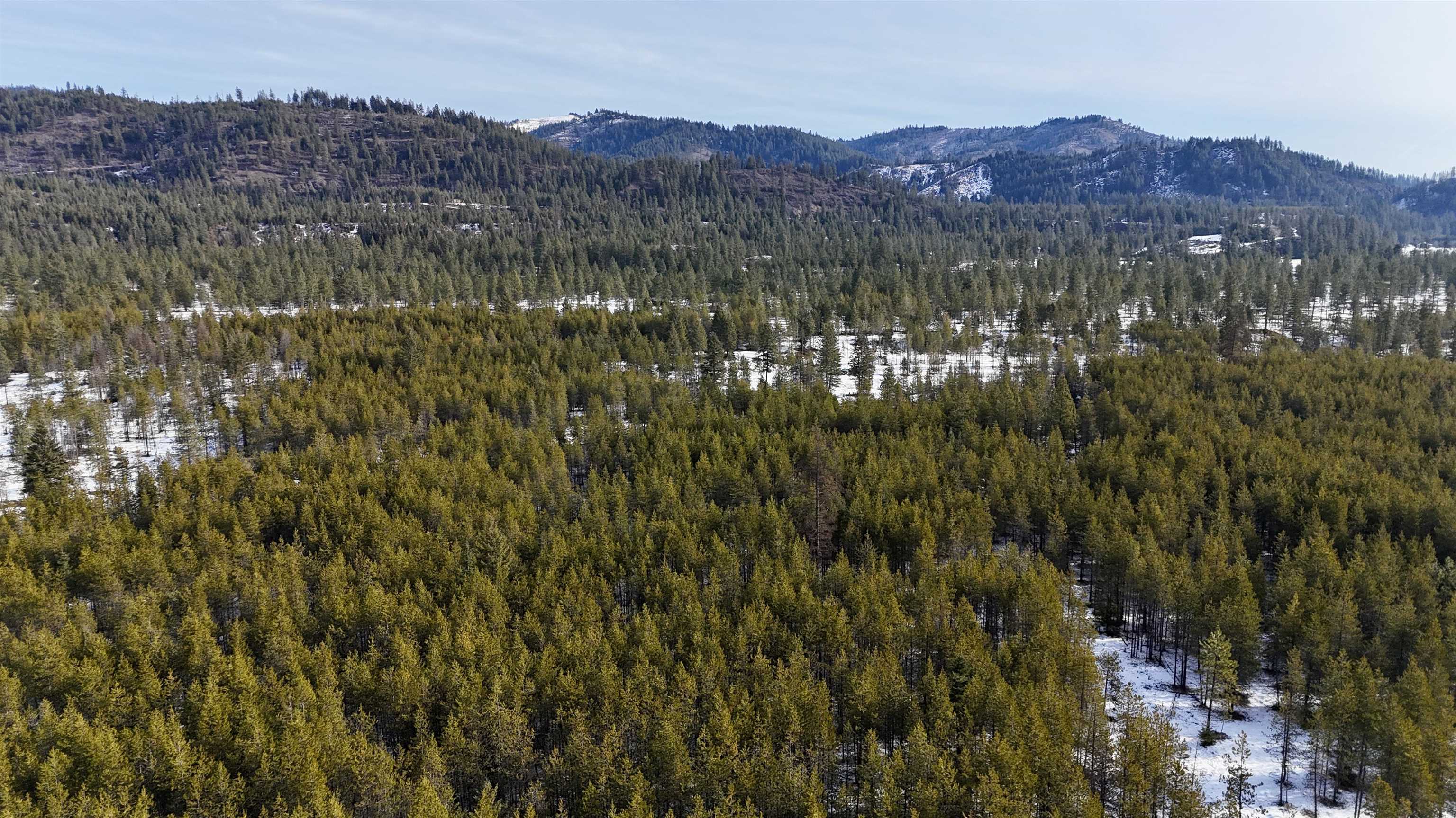 321 Misty Ridge Lane Newport, WA 99156 - Photo 13 of 29