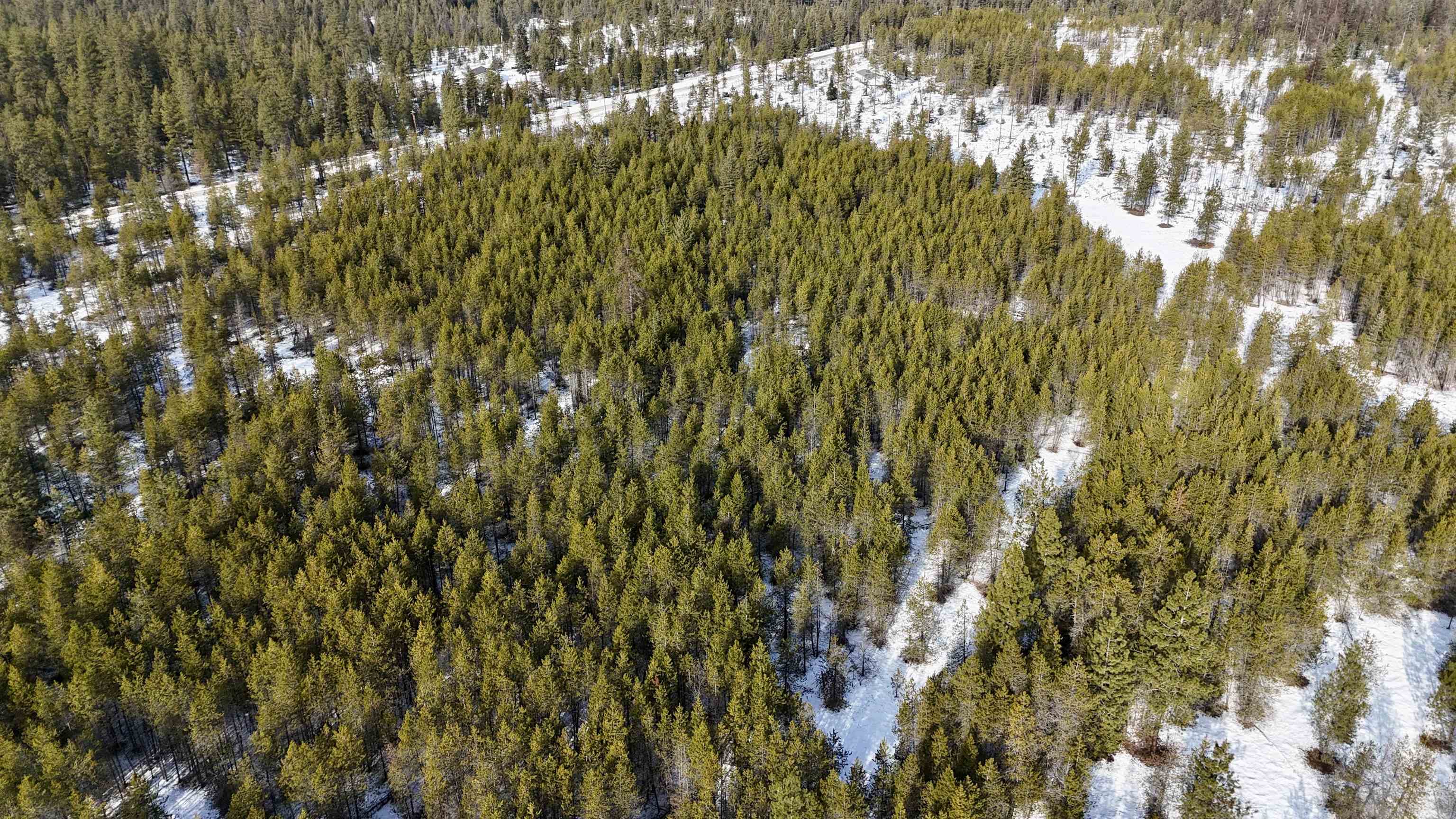 321 Misty Ridge Lane Newport, WA 99156 - Photo 14 of 29