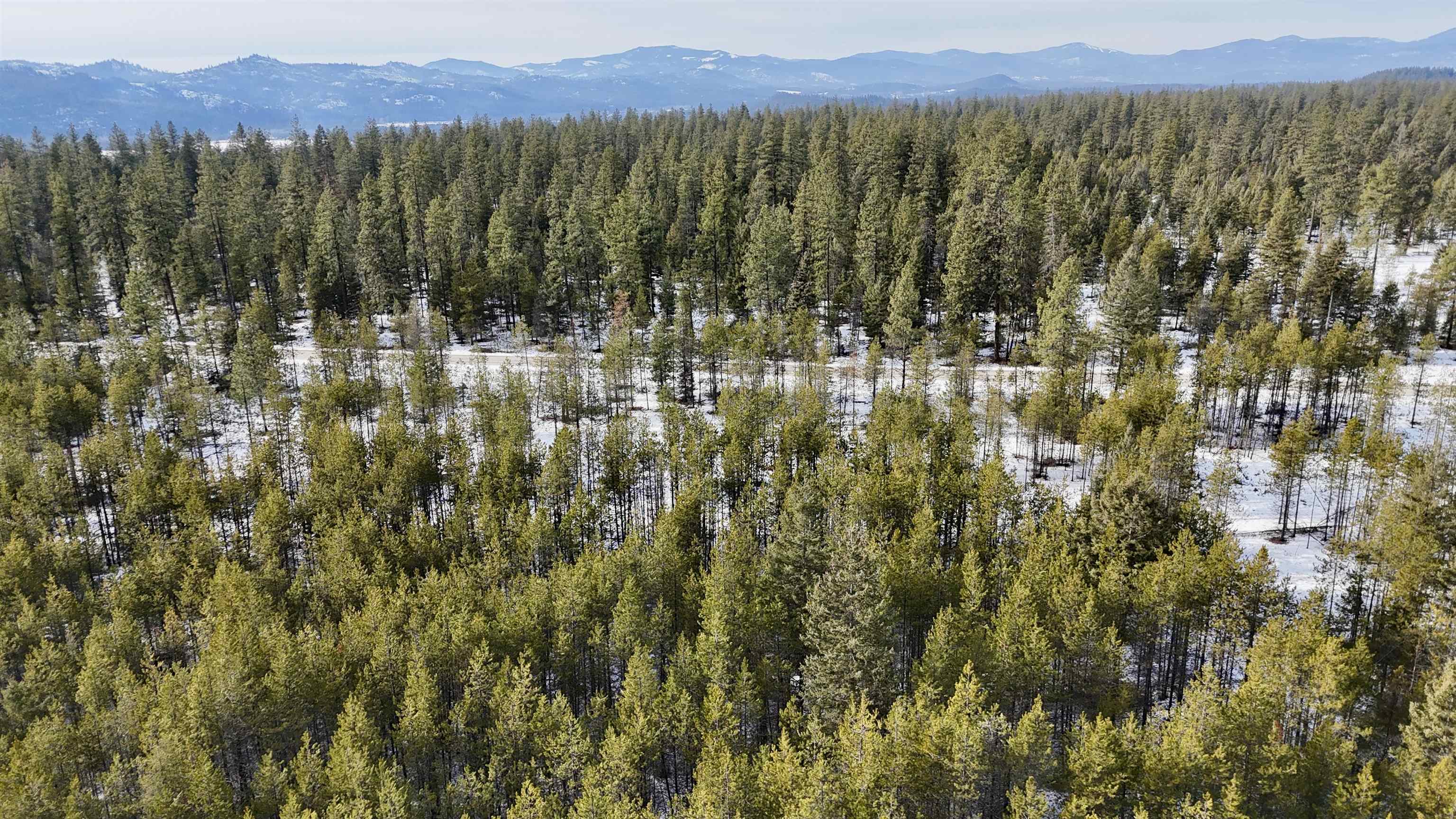 321 Misty Ridge Lane Newport, WA 99156 - Photo 15 of 29