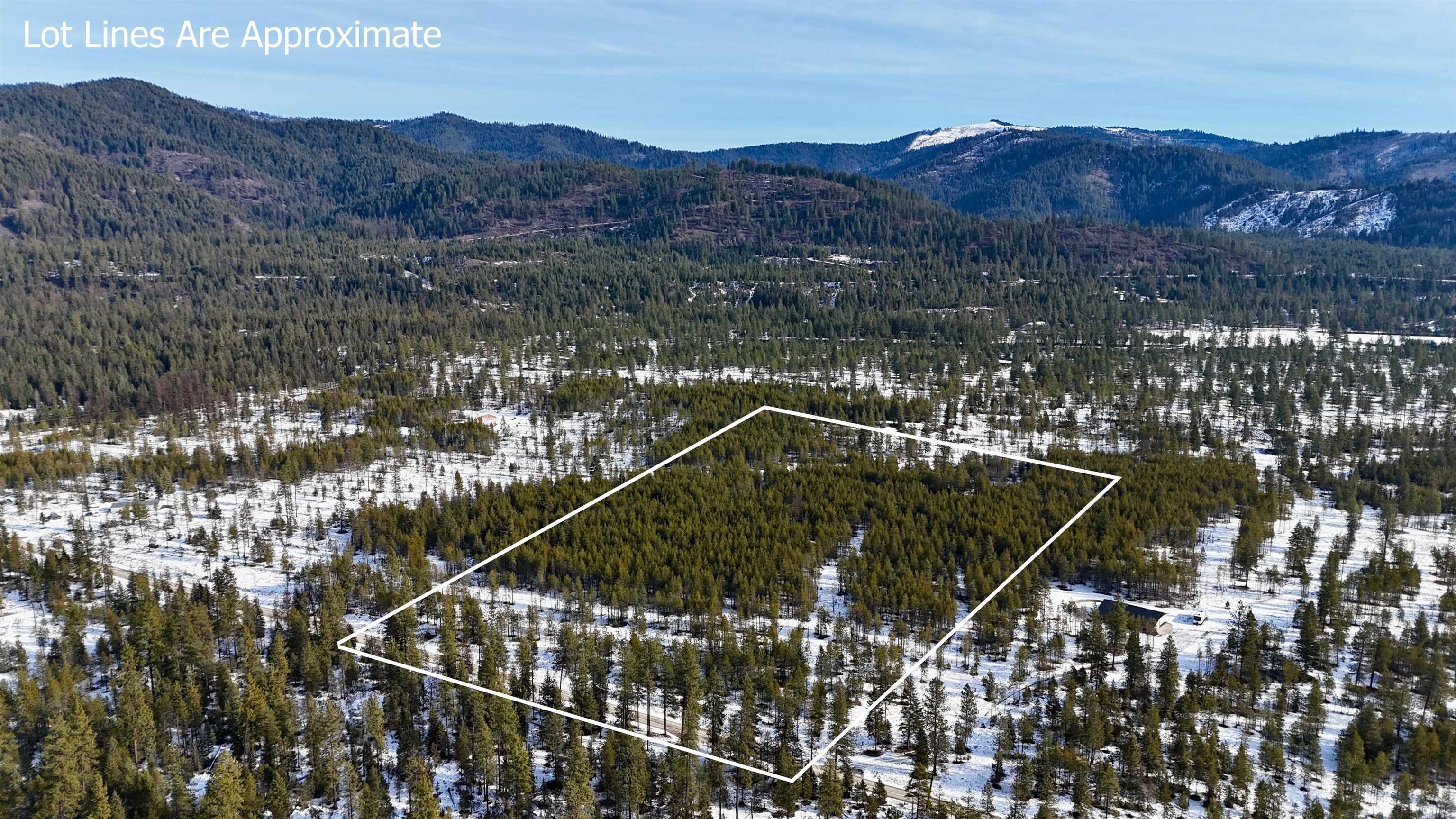 321 Misty Ridge Lane Newport, WA 99156 - Photo 26 of 29