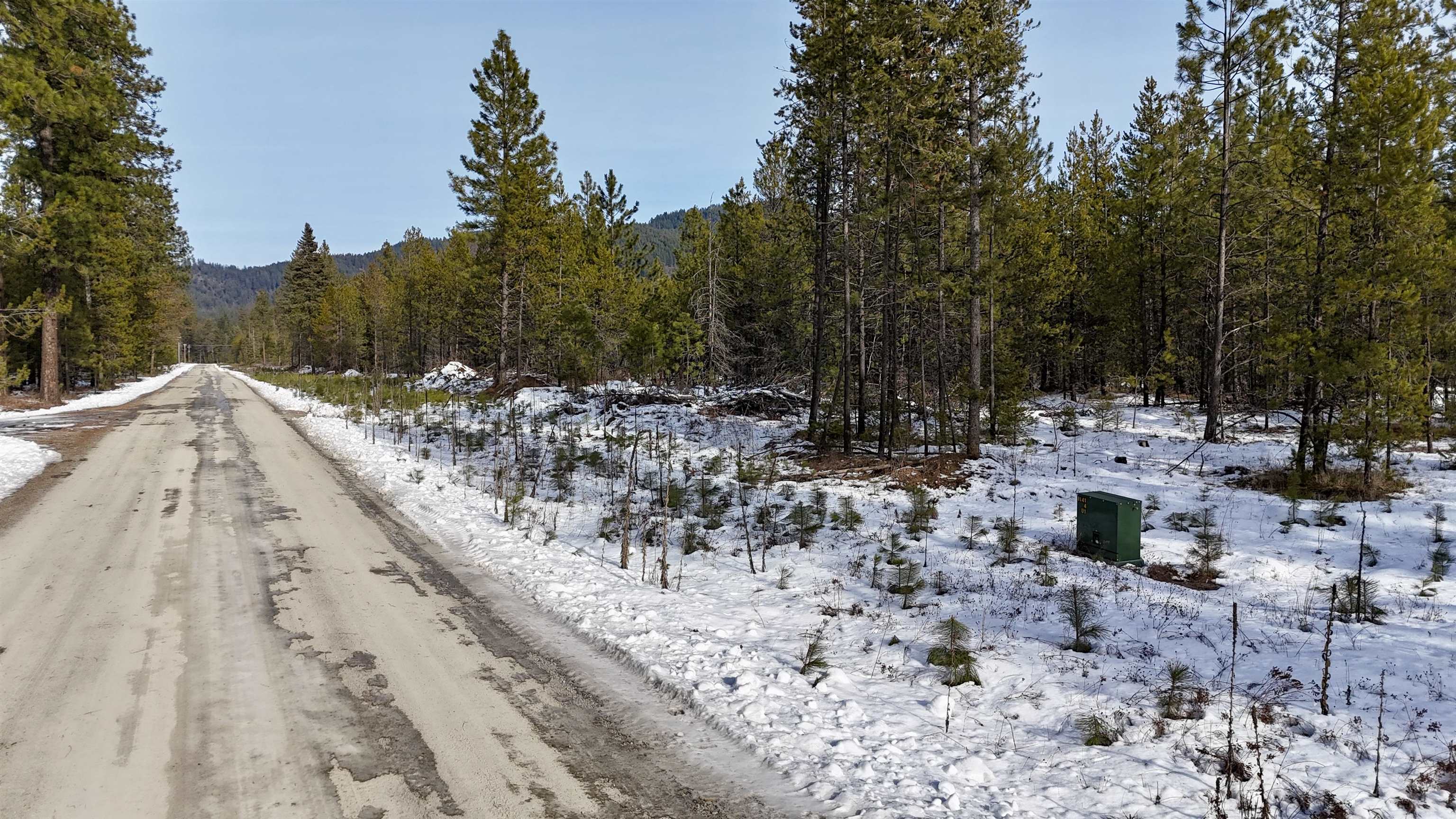 321 Misty Ridge Lane Newport, WA 99156 - Photo 3 of 29