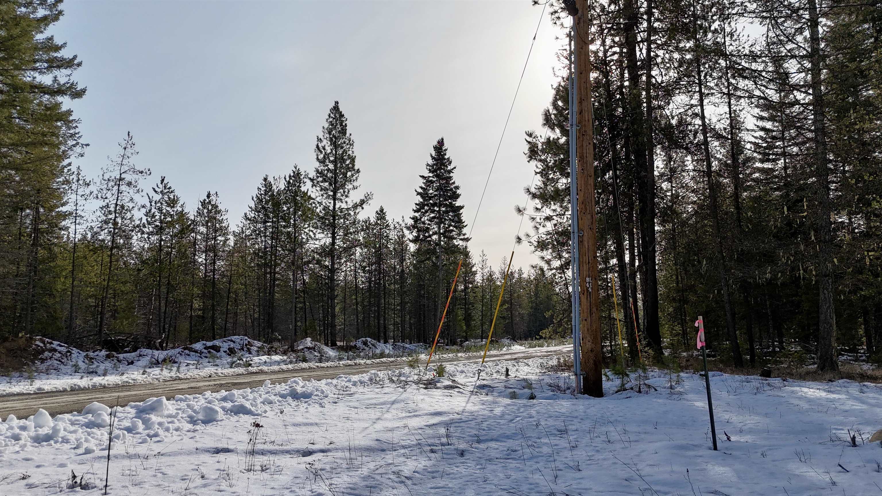 321 Misty Ridge Lane Newport, WA 99156 - Photo 4 of 29