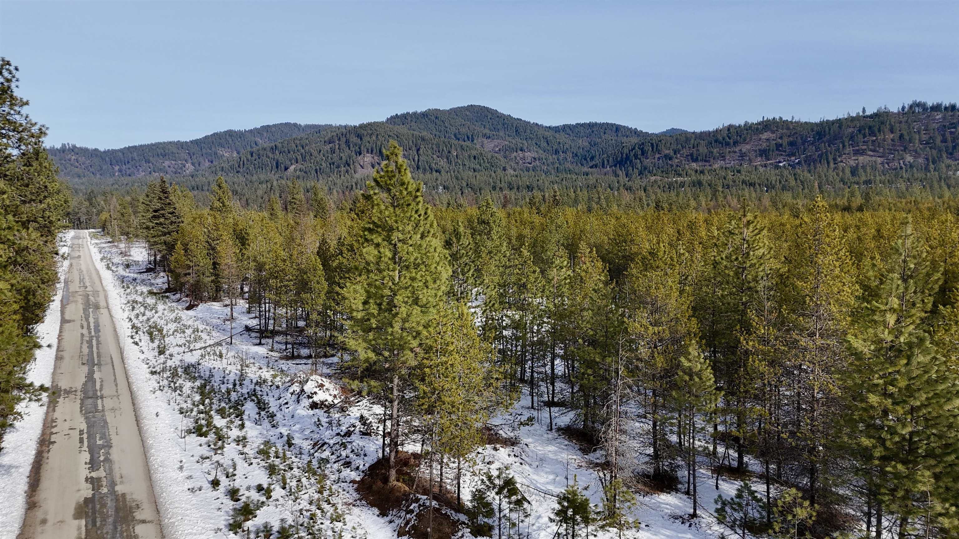 321 Misty Ridge Lane Newport, WA 99156 - Photo 5 of 29