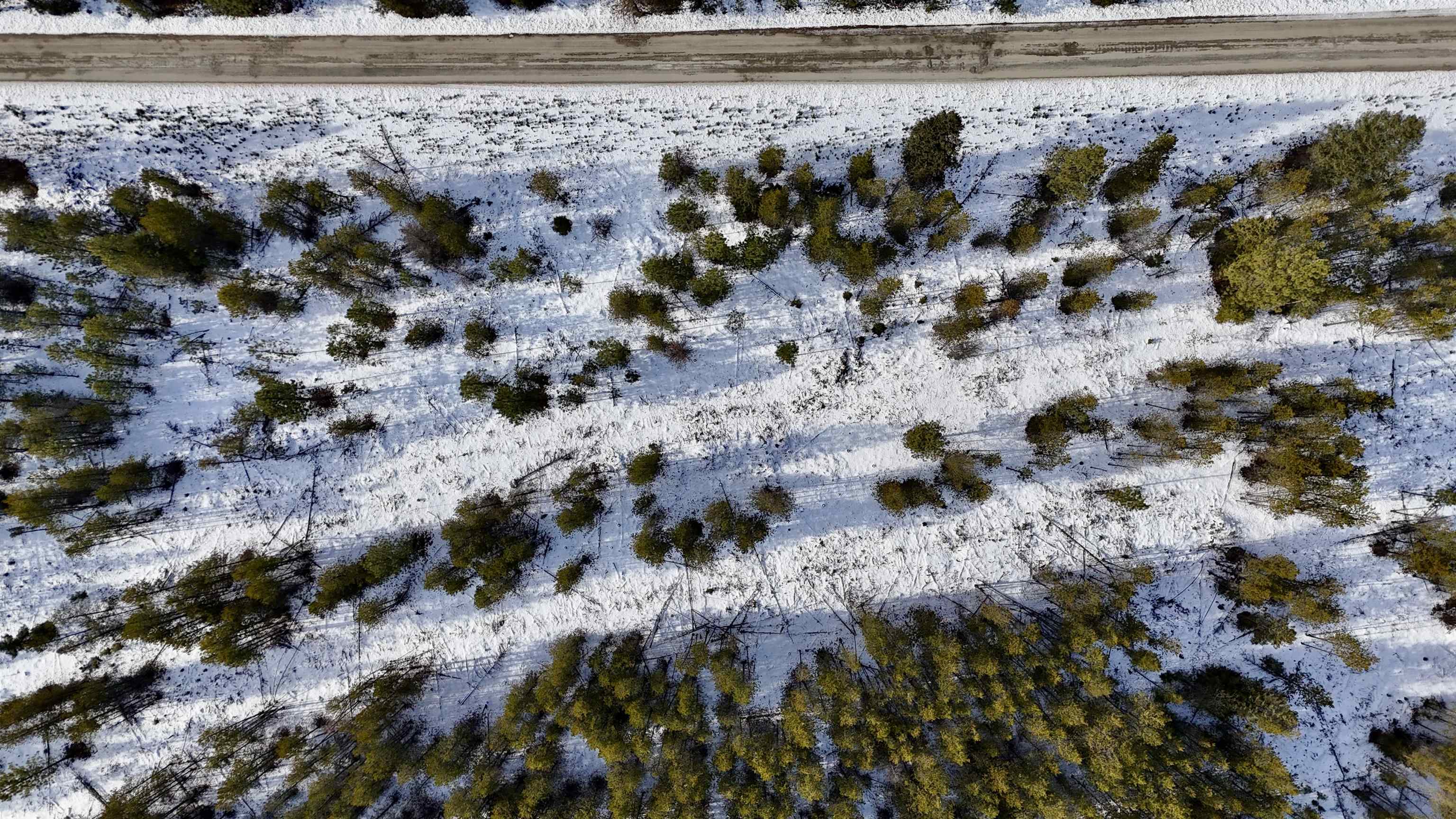 321 Misty Ridge Lane Newport, WA 99156 - Photo 7 of 29