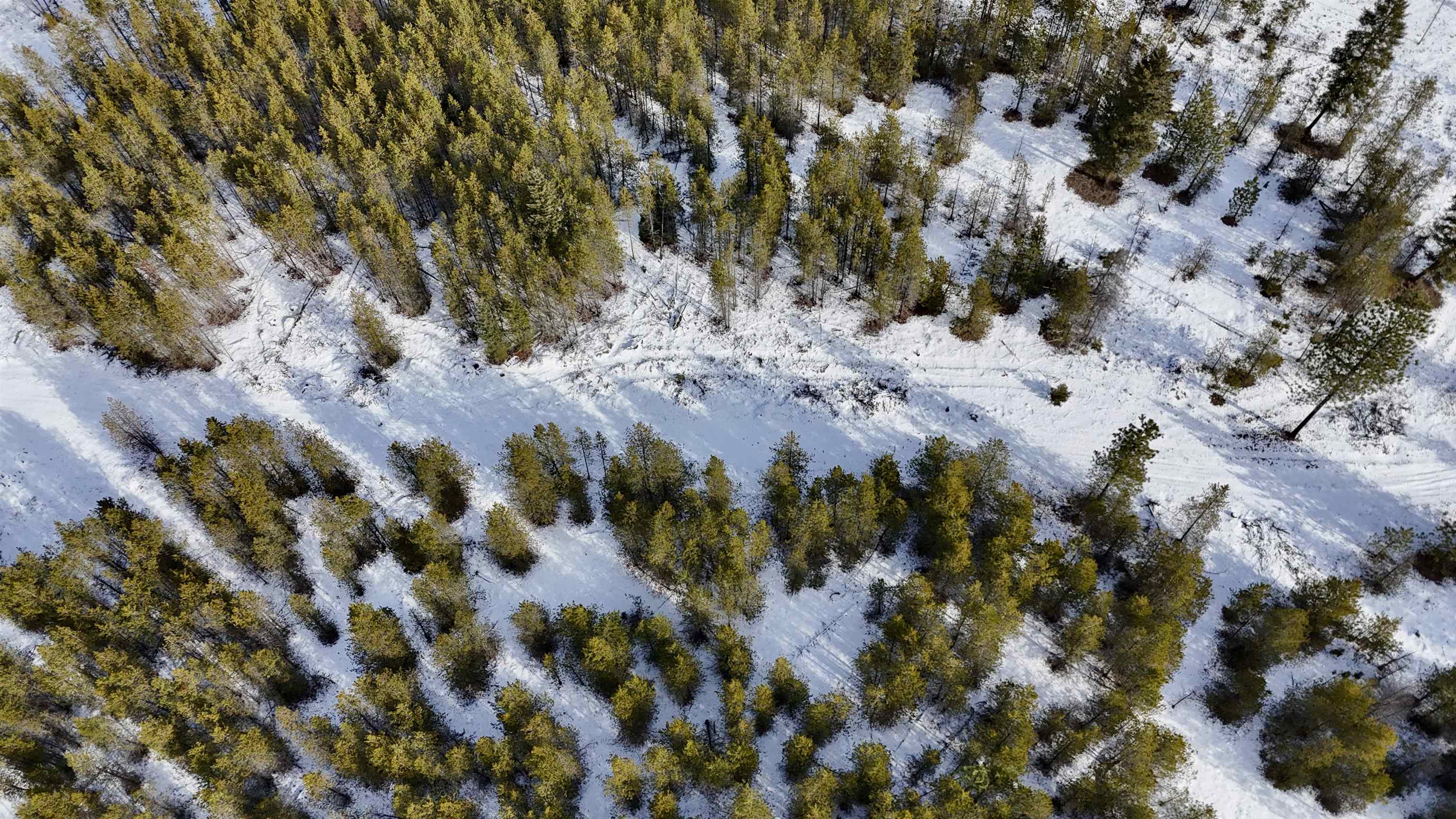 321 Misty Ridge Lane Newport, WA 99156 - Photo 8 of 29