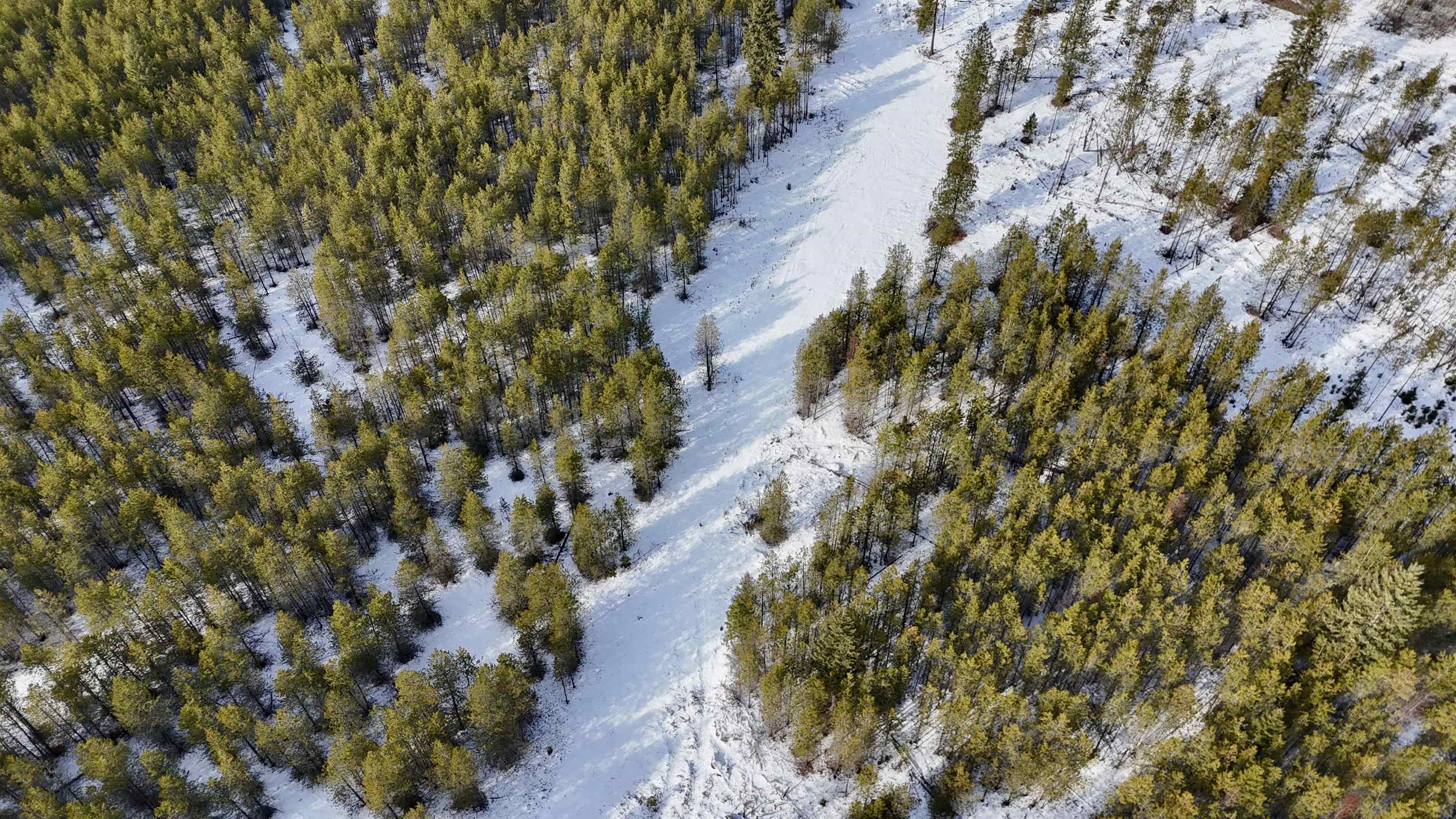 321 Misty Ridge Lane Newport, WA 99156 - Photo 9 of 29