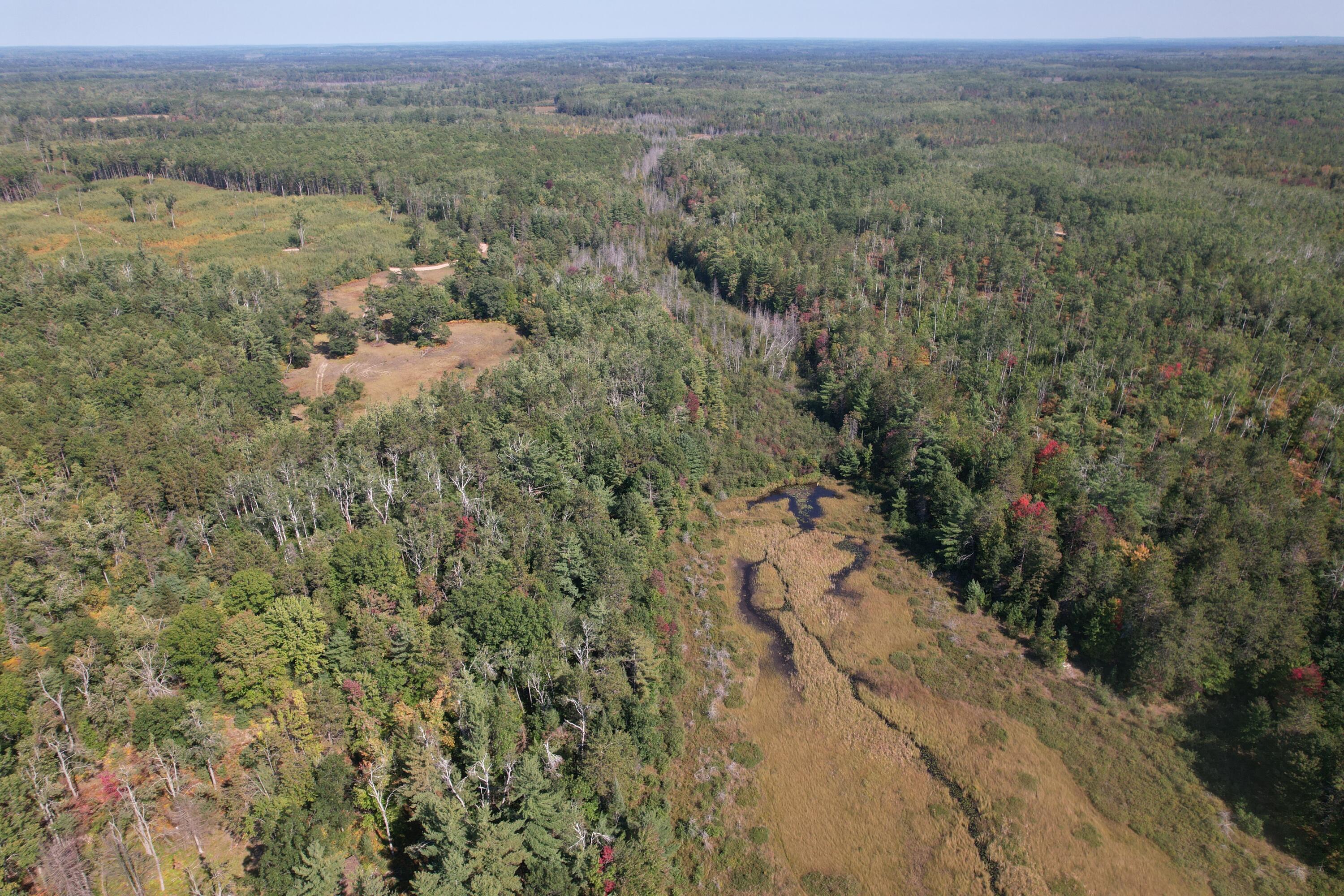 14200 Brown Road Atlanta, MI 49709 - Photo 11 of 16 dji_fly_20250917_143816_87_1758134658871