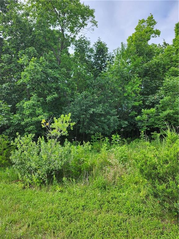 9 East Ridgewood Circle Linn Valley, KS 66040 - Photo 3 of 8