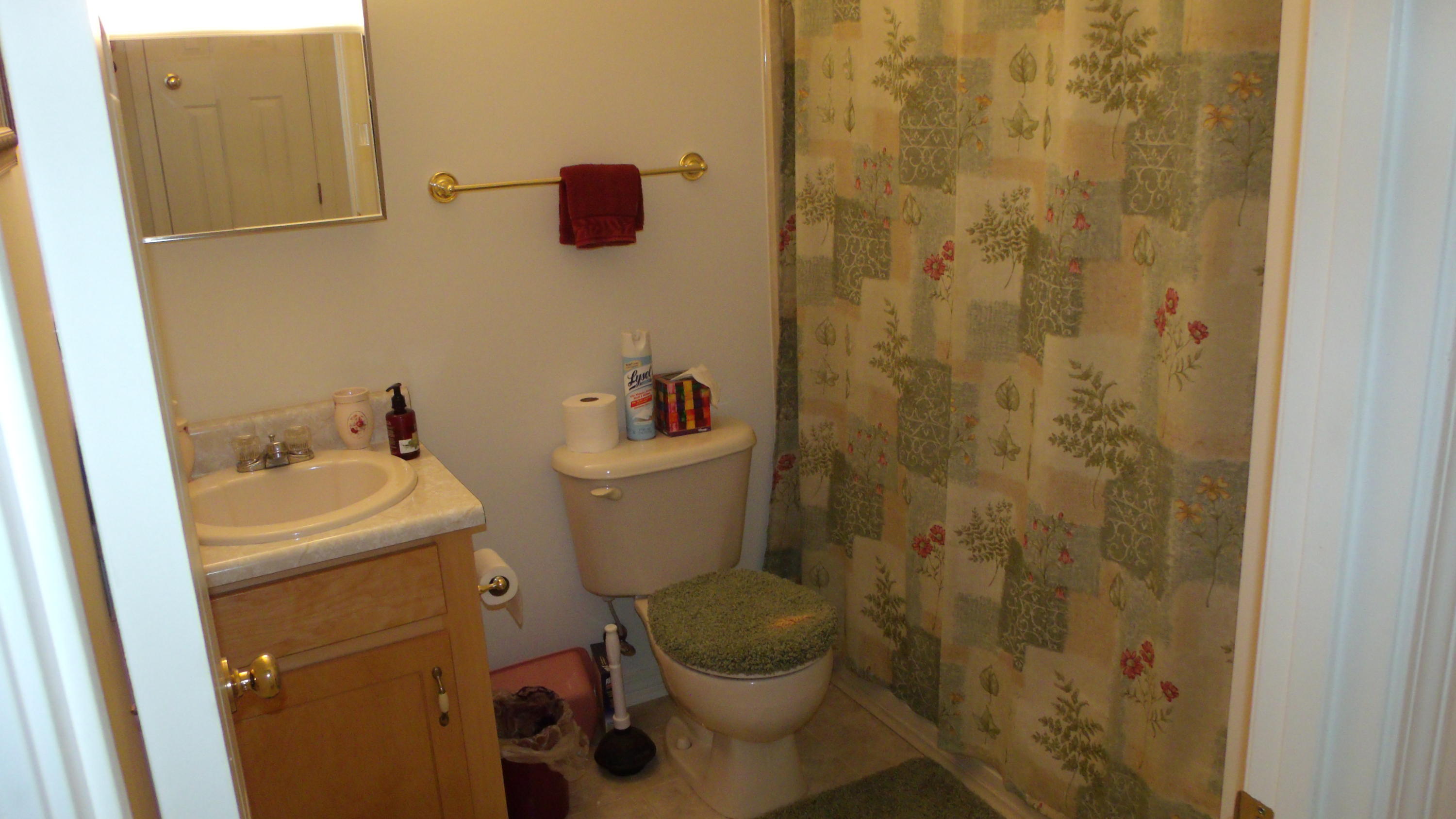 5918 Jack Stokes Road Baker, FL 32531 - Photo 15 of 23 a bathroom with a sink and a toilet