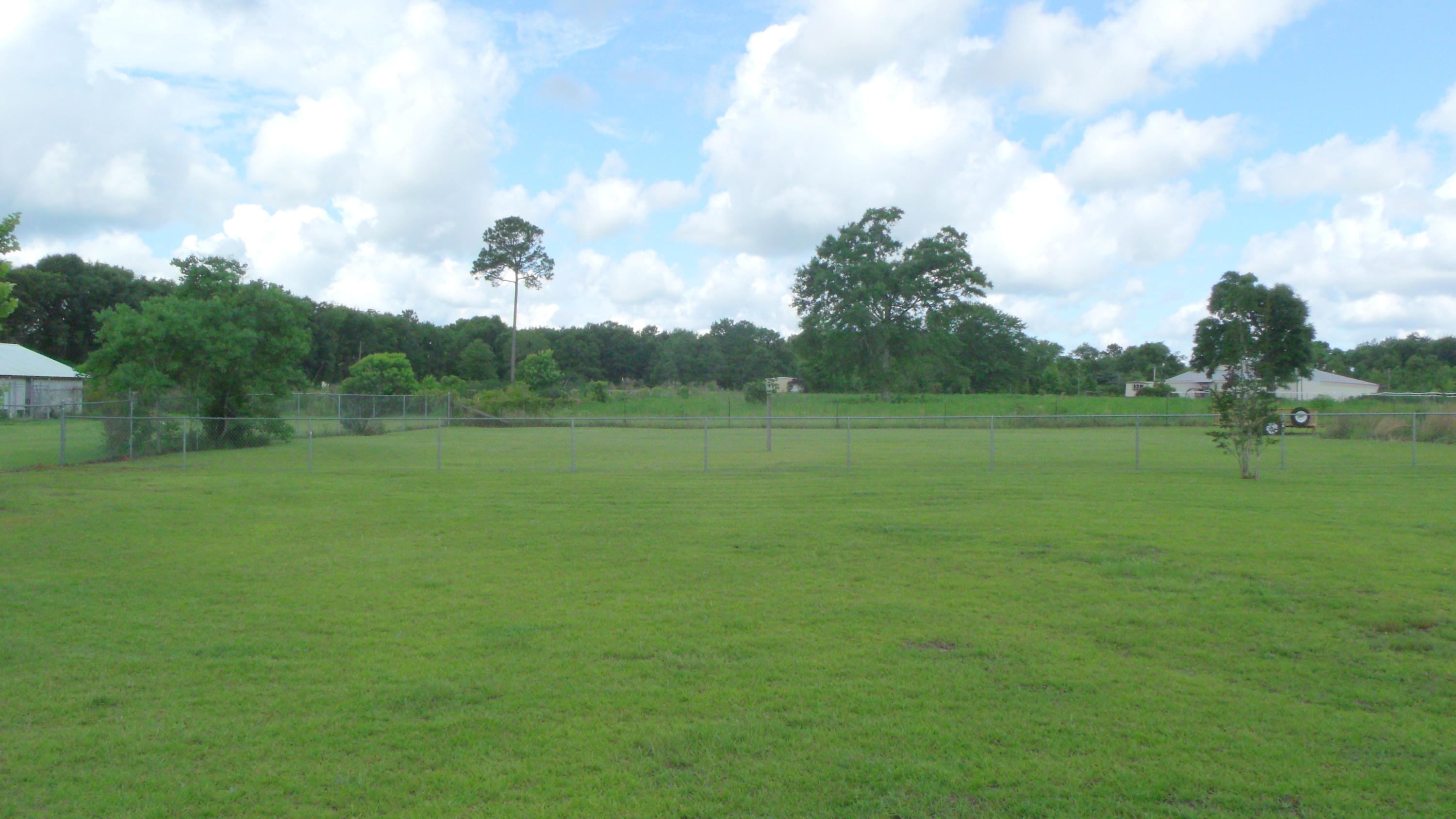 5918 Jack Stokes Road Baker, FL 32531 - Photo 6 of 23 a view of a field and trees in the background