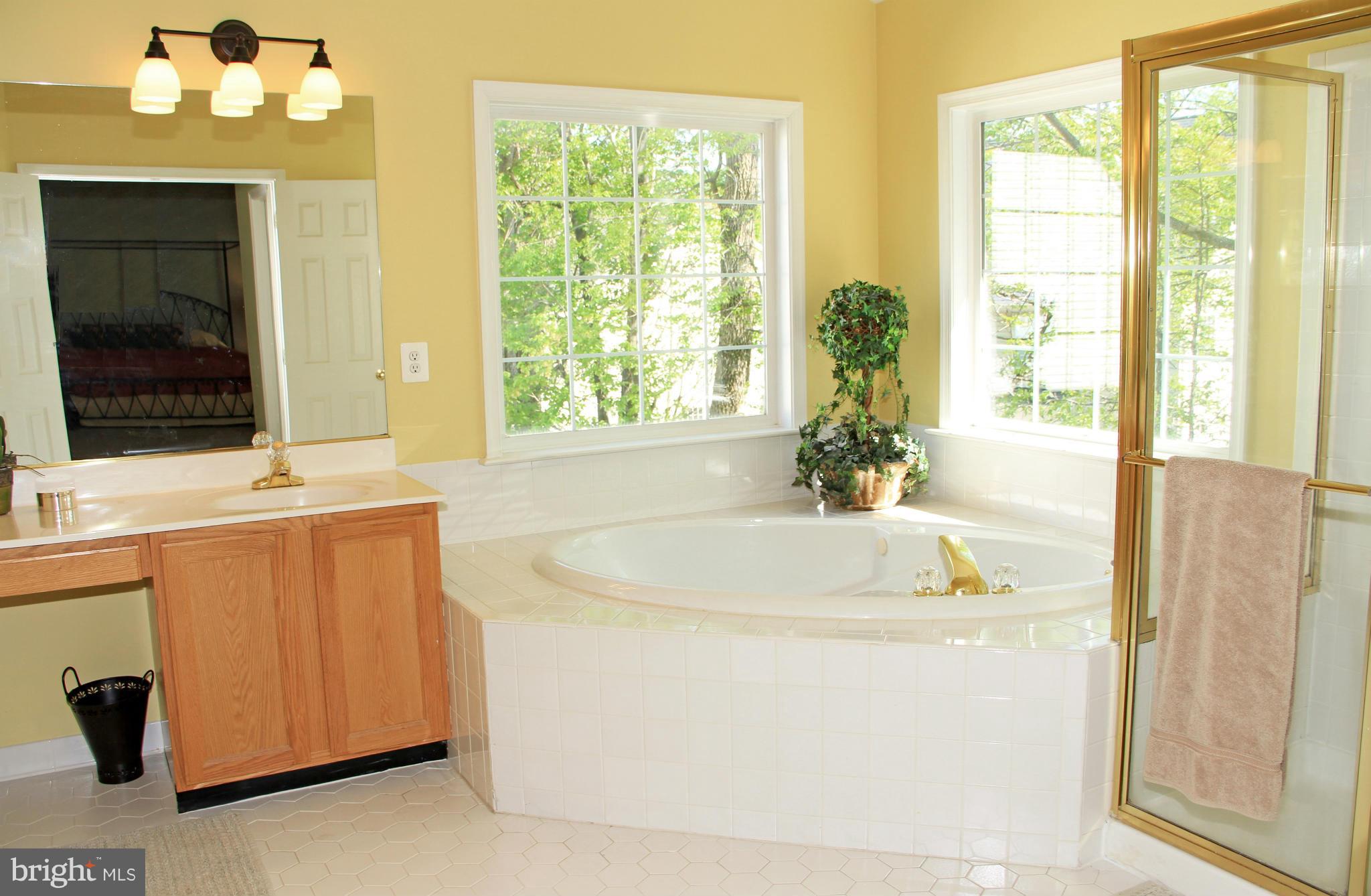 47551 Rippling Drive Sterling, VA 20165 - Photo 20 of 30 Soaking Tub and Separate Shower