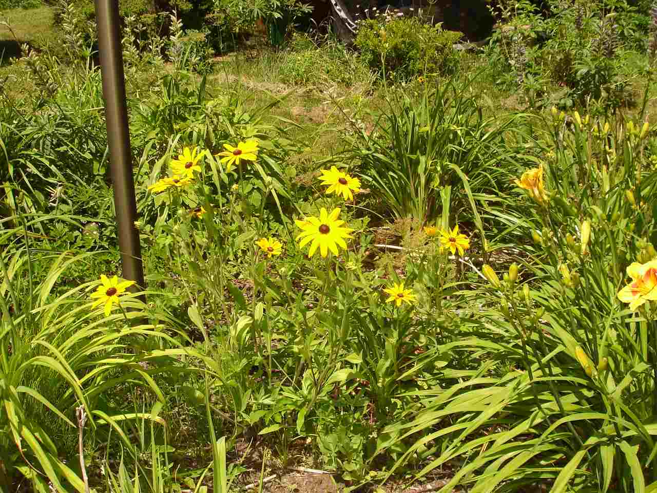 2060 River Road Lunenburg, VT 05904 - Photo 7 of 23