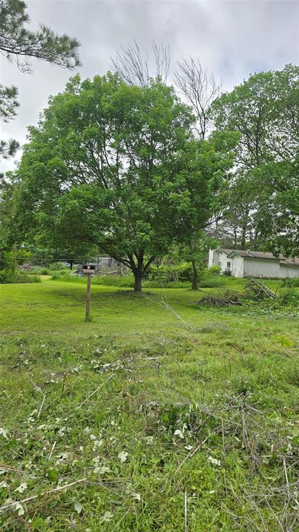 a view of outdoor space with deck and yard
