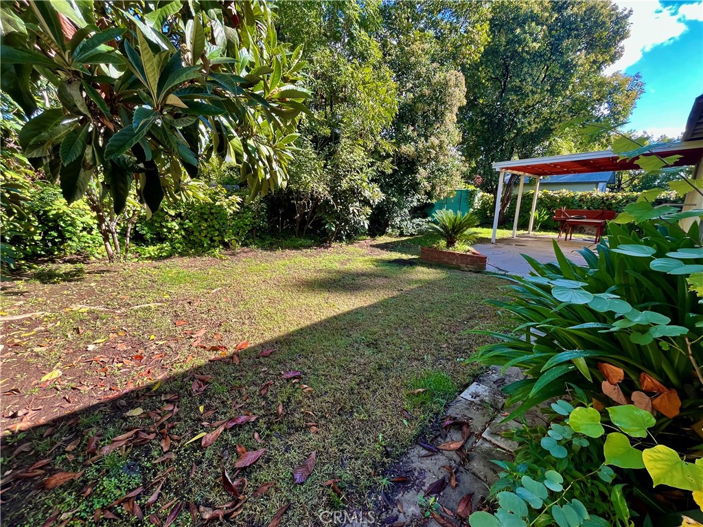 4245-4245 Homewood Court Riverside, CA 92506 - Photo 7 of 15 a view of a yard with plants