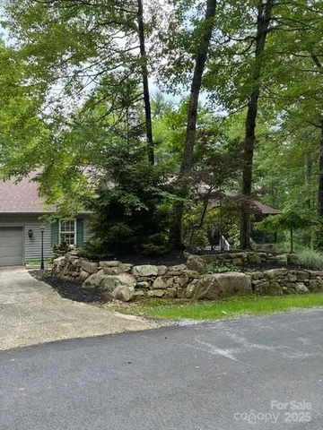 a view of a backyard with plants and trees