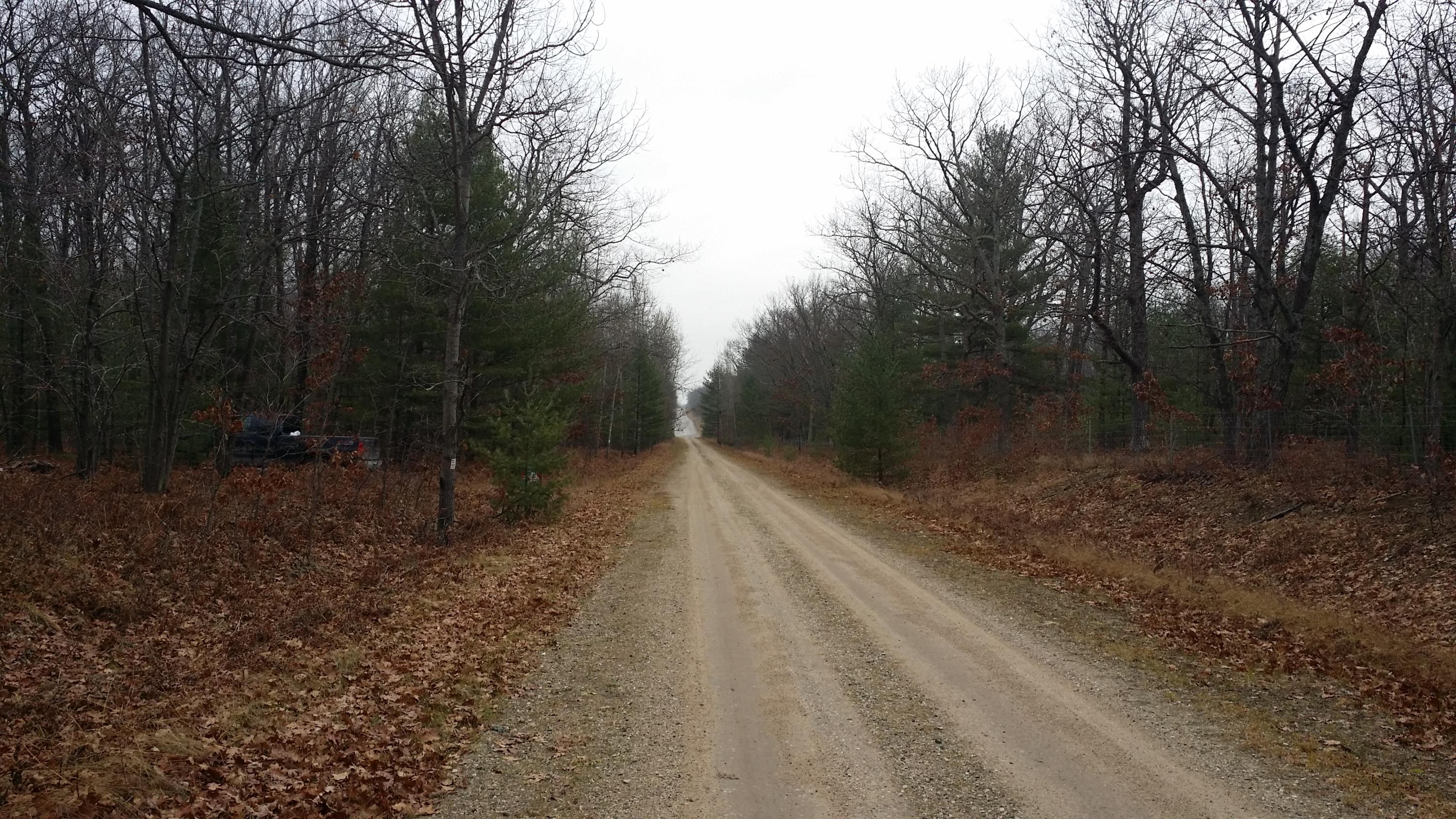 Service Road Indian River, MI 49749 - Photo 3 of 13 Gallery Image 3