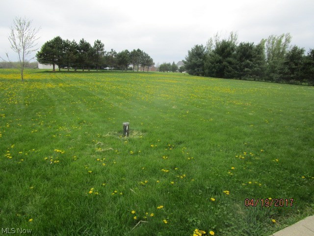 8546 Yoder Road Wadsworth, OH 44281 - Photo 2 of 25