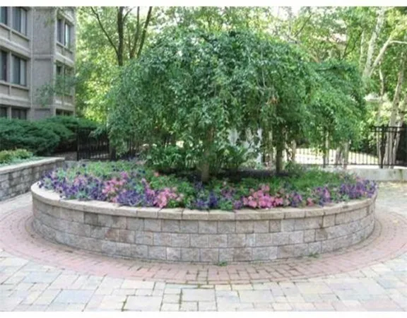 $3,050 | 1731 Beacon Street, Unit 420, Brookline, MA 02445