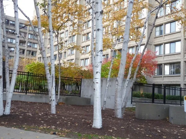 $3,050 | 1731 Beacon Street, Unit 420, Brookline, MA 02445