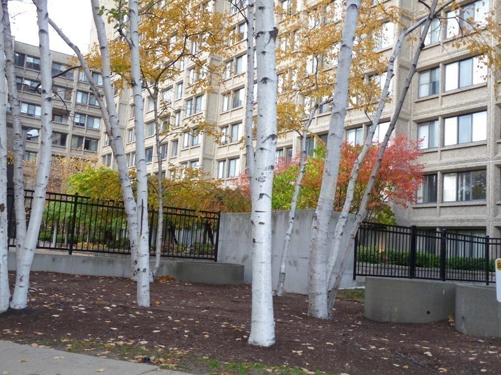 1731 Beacon Street, Unit 420 Brookline, MA 02445 - Photo 17 of 20