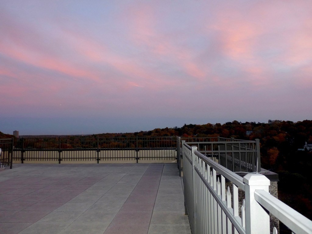 1731 Beacon Street, Unit 420 Brookline, MA 02445 - Photo 20 of 20